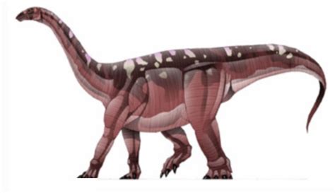 Blikanasaurus Wiki Prehistórico Fandom Powered By Wikia