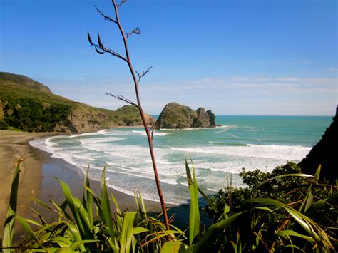 Piha New Zealand New Zealand Holidays New Zealand Travel Beaches