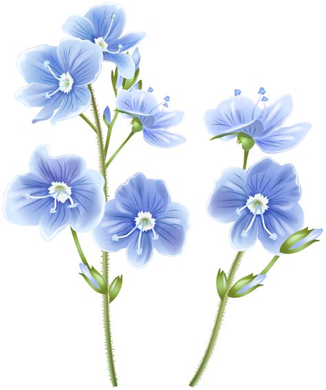 Wildflower Png 10 Free Cliparts Download Images On Clipground 2023