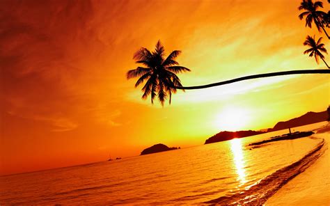 38 Tropical Beach Sunset Wallpaper Wallpapersafari