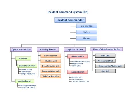 Ics Org Chart Template