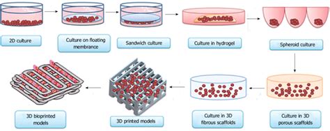 Check spelling or type a new query. Evolution of cell-culture models from simple two ...