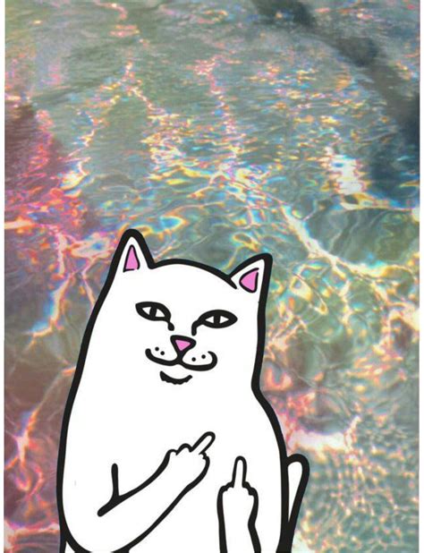 Check spelling or type a new query. RIPNDIP Wallpapers - Wallpaper Cave