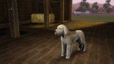 Sims 3 Pets Dog Breeds Youtube