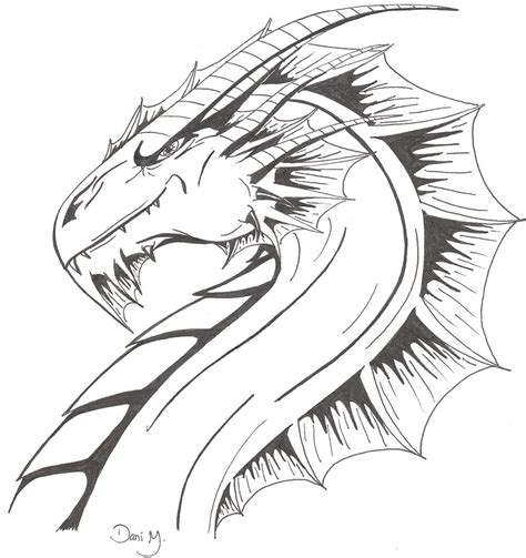 Dragons Head Drawing At Getdrawings Free Download