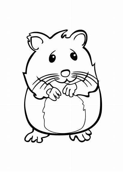 Coloring Pets Pages Hamster Pet Zhu Printable
