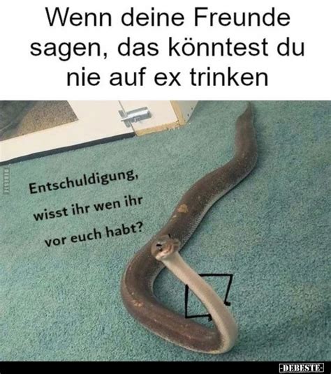 Lustige Bilder Freunde Seite Debeste De