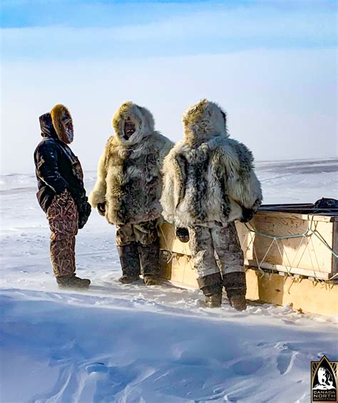 Inuit Culture Canada North Outfitting We Are The Arctic