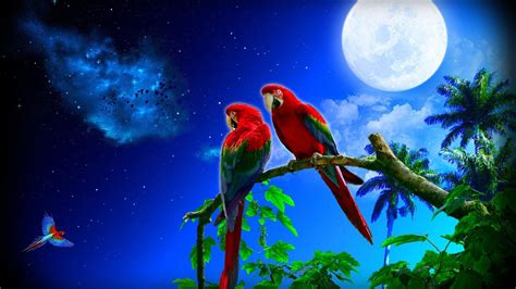 Take a sneak peak at the movies coming out this week (8/12) simone biles is mental health #goals Macaw Parrot Wallpaper (67+ images)