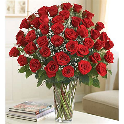 48 Roses Arrangement Designed By Award Winning Karins Florist