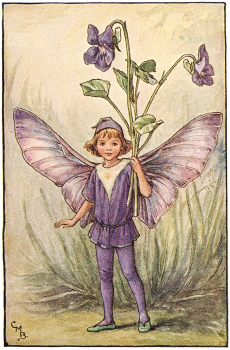 Illustration For The Dog Violet Fairy From Flower Fairies Of The Spring