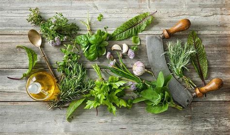 A hangnail can become infected if exposed to bacteria or fungus. How to draw out infection: simple home remedies that you ...