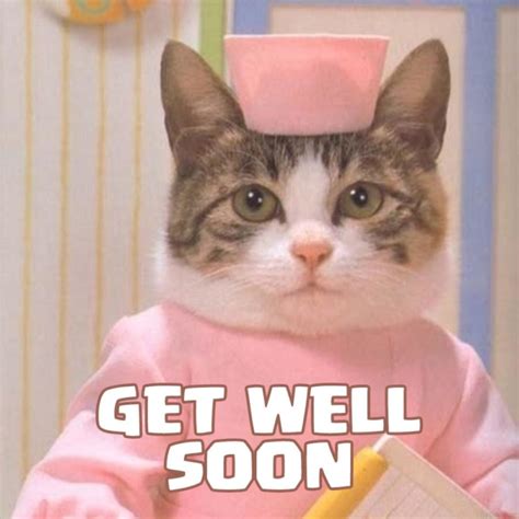 Pics To Say Get Well Soon 50 Funny Cards For Free