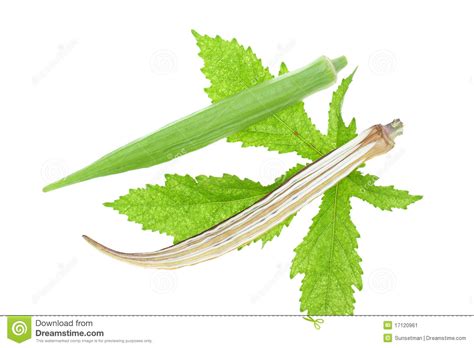 Find great deals on ebay for lady fingers seeds. Lady Finger, Vegetable stock image. Image of agriculture ...
