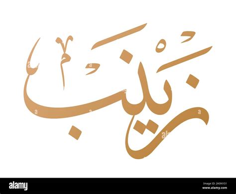 Zainab Name Arabic Calligraphy Vector Design Translation Zainab