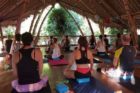 The Power of Now Oasis: A Gateway to Mindfulness