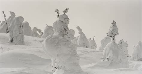 Juhyo The Snow Monsters Of Mount Zao Amusing Planet