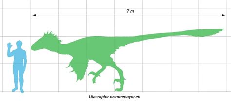 Utahraptor Extinct Animals