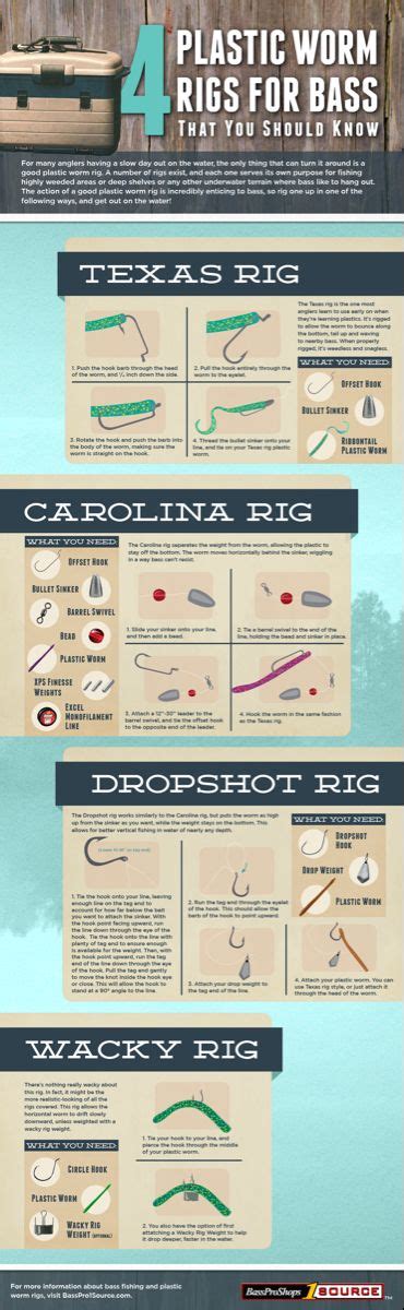 4 Plastic Worm Rigs For Bass That You Should Know Infographic Bass