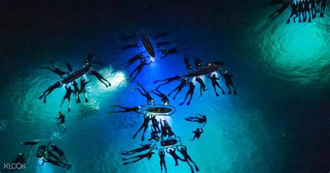 Manta Ray Night Dive In Hawaii