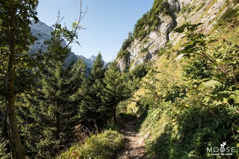 Wanderung Seealpsee Berg Country Roads Mountains Natural Landmarks