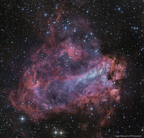 M17 The Swan Nebula Telescope Live
