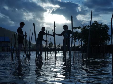 Keren Jadi Surganya Wisatawan Belitung Bakal Jadi Destinasi Wisata Mangrove Dunia Indozone