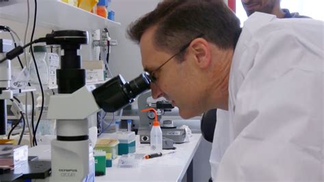 60 Minutes Exclusive New Blood Cancer Treatment Research From Sydneys