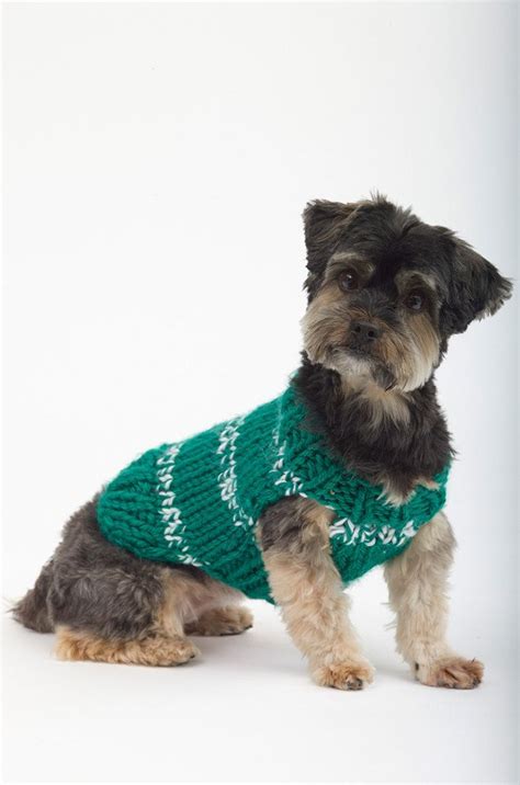 The Sports Nut Dog Sweater In Lion Brand Hometown Usa L32126