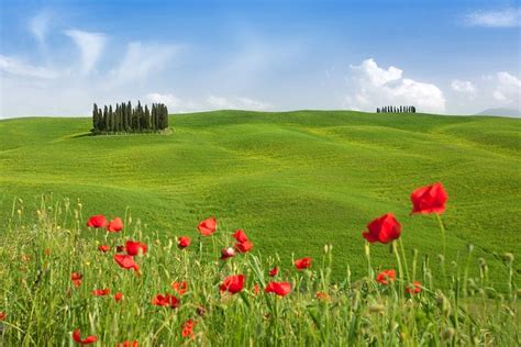 17 Top Rated Tourist Attractions In Tuscany Planetware