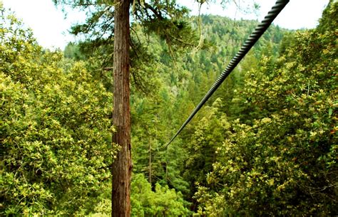 742 reviews of sonoma canopy tours i can safely say i never thought i'd be hanging out in the top of a redwood forest, but that's exactly what i did this past weekend. sonoma canopy tour: zipline through the redwoods - a photo ...