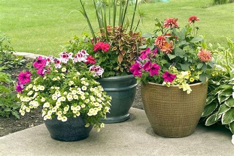 Awesome 60 Gorgeous Summer Container Gardening Ideas Decorations And