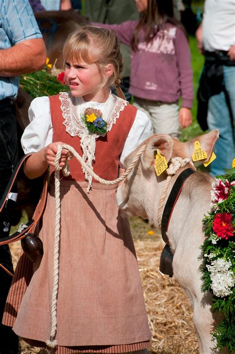 Viehschau Heiden Youth Breeders Presenting Their Cattle Peter Boehi
