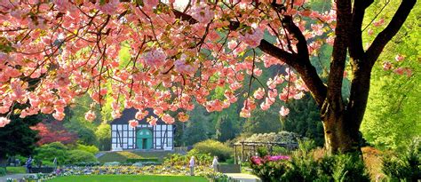 Er ist nicht so groß aber echt schön. Verein Freunde des Botanischen Gartens Bielefeld e. V.