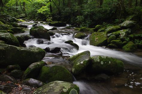 An Appalachian Mountain Stream In The Spring Us Geological Survey