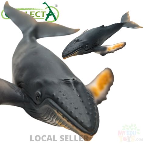 Humpback Whale Collecta 88347 Sea Life Animal Action Figures Toy