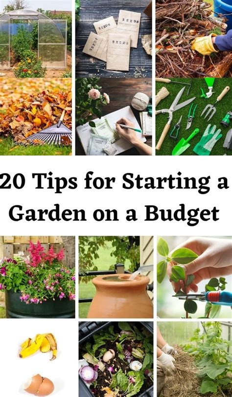 20 Fabulous Frugal Tips For Starting A Garden On A Budget Diy And Crafts