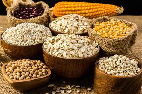 Agriculture Productsgrains And Cereal Stock Image Image Of Board