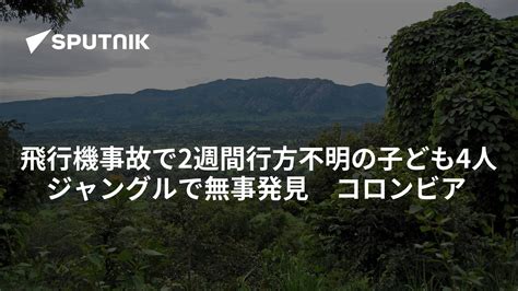 飛行機事故で2週間行方不明の子ども4人 ジャングルで無事発見 コロンビア 2023年5月21日 Sputnik 日本