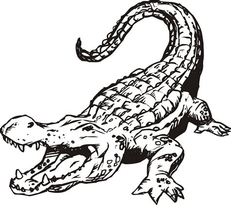 Cartoon alligator drawing at getdrawings com free for. Images For > Alligator Drawing Outline | Animal coloring ...