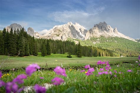 Photos Alps Italy Dolomites Nature Mountain Scenery Grasslands Grass