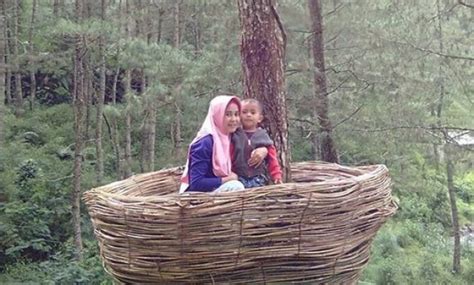 Kampung ciherang tempat wisata alam di sumedang yang menawarkan kesejukan udara dan berabgai wahana alam dengan harga tiket masuk murah. 10 Foto Wisata Kampung Ciherang, Harga Tiket Masuk, Alamat ...