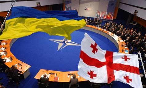 NATO Still Seeks Expansion in Ukraine and Georgia Despite ...