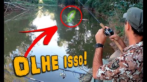 VocÊ JÁ Viu Esse Peixe Fazer Isso Pescaria Youtube
