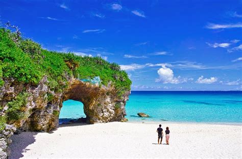Star Shaped Sand Of Okinawa The Something Guy