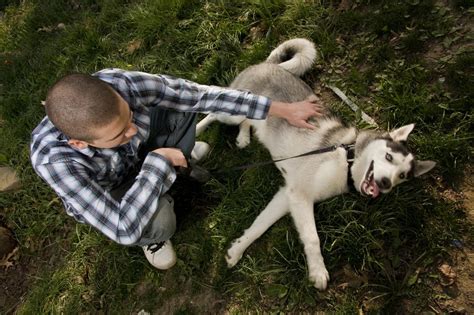 Männer Und Hunde Haben Eine Bizarre Gemeinsamkeit Auf Die Du Nie