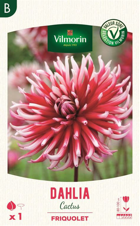 These include their water park, amusement park, crocodile park and botanical gardens. Je plante au printemps