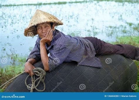 Hoi An Vietnam 11112017 Local Vietnamese Man With Rice Hat