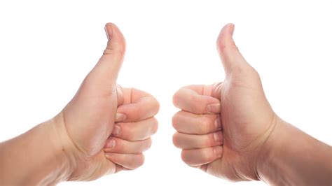 Collection Of Two Thumbs Up Png Hd Pluspng