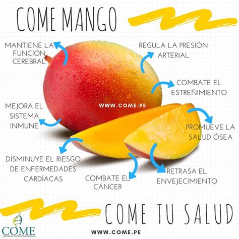 10 Beneficios Del Mango Y Sus Contraindicaciones Consejos Para La